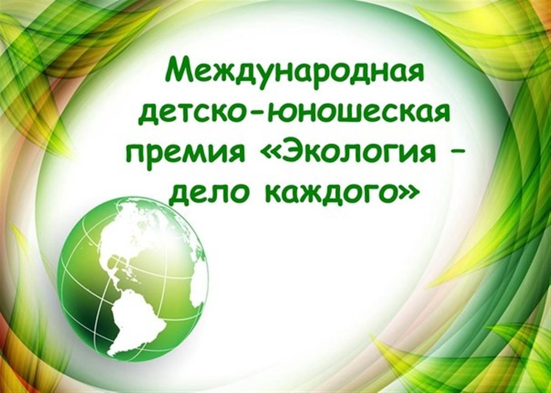 Экологический проект костромской школьницы отметили на международном  уровне
