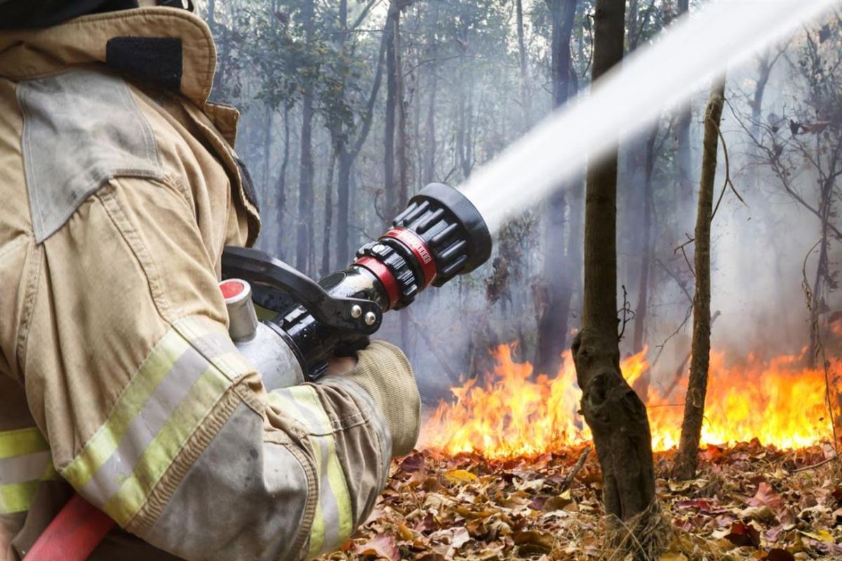 Из-за жаркой погоды в Костромской области объявлен высокий класс пожарной опасности
