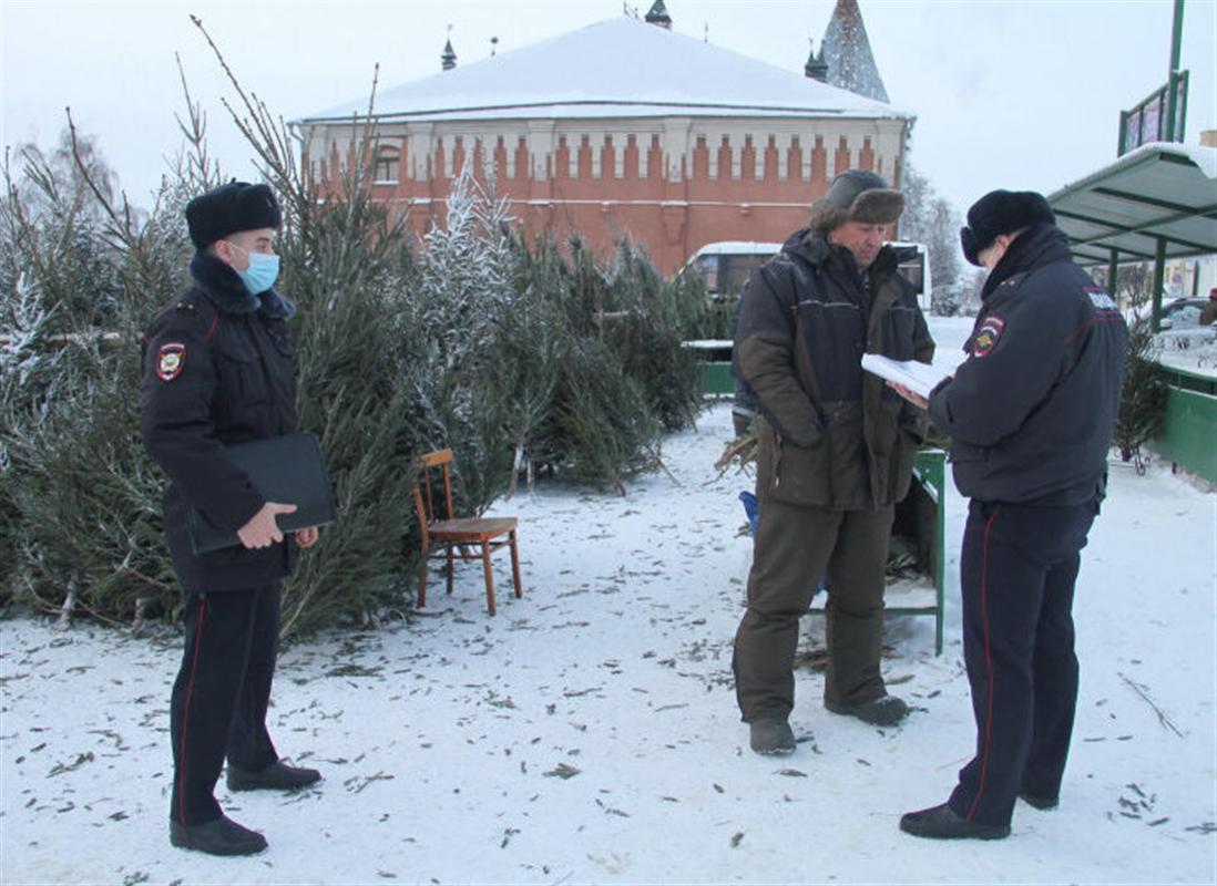 Полиция проверяет елочные базары в Костроме