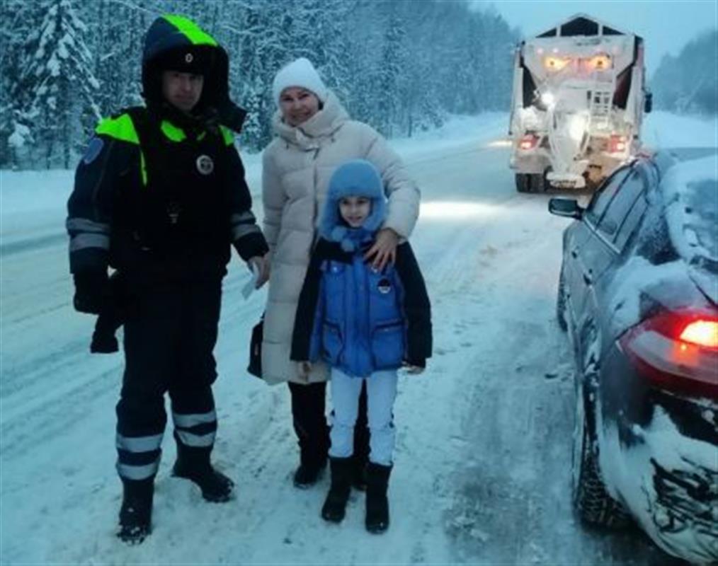Костромские полицейские помогли семье, чей автомобиль съехал с трассы и увяз в снегу 