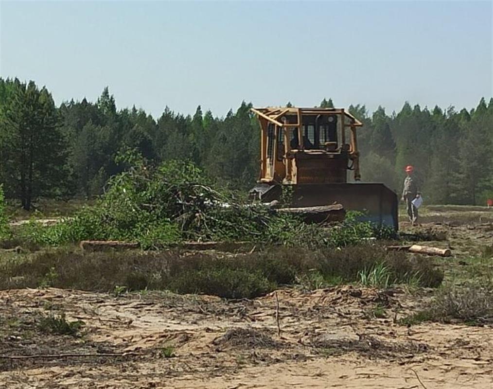 В Костромской области завершился пожароопасный сезон 