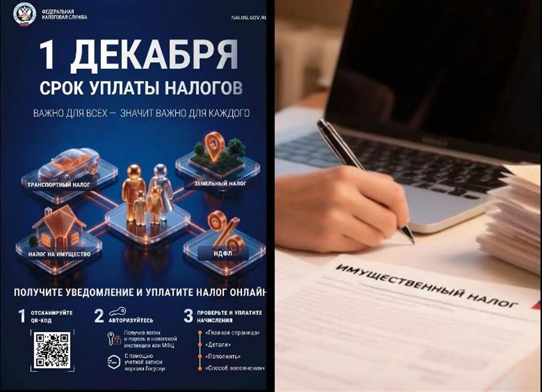 До 1 декабря костромичам необходимо уплатить имущественные налоги за 2025 год