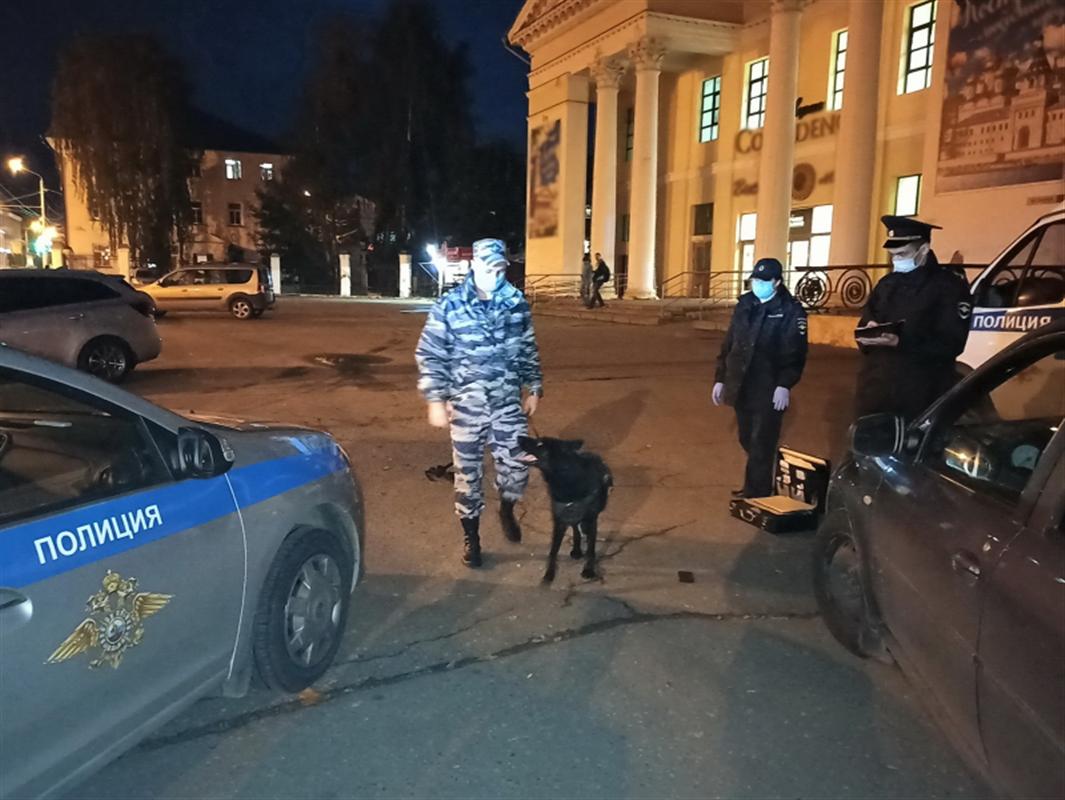 Служебная собака помогла полицейским найти похитительницу айфона в Костроме