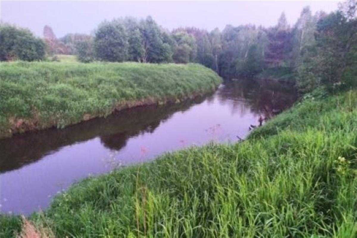 Костромич утонул во время купания в реке Черный Лух