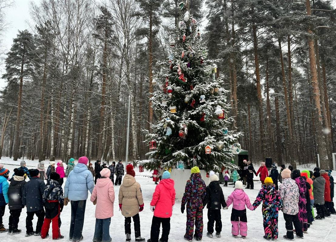 Костромичей приглашают в городские парки на новогодние программы