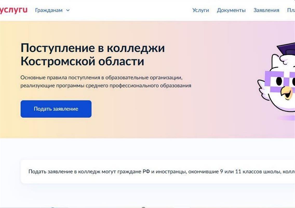 Начал работу онлайн-сервис «Поступление в колледжи Костромской области»