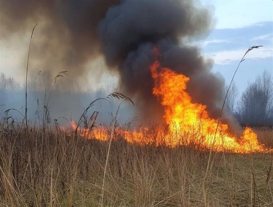 В Костроме зарегистрирован первый в этом сезоне пал травы