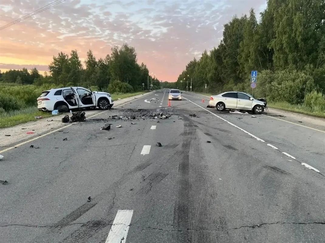 Водитель иномарки погиб в ДТП с лосем на костромской автотрассе