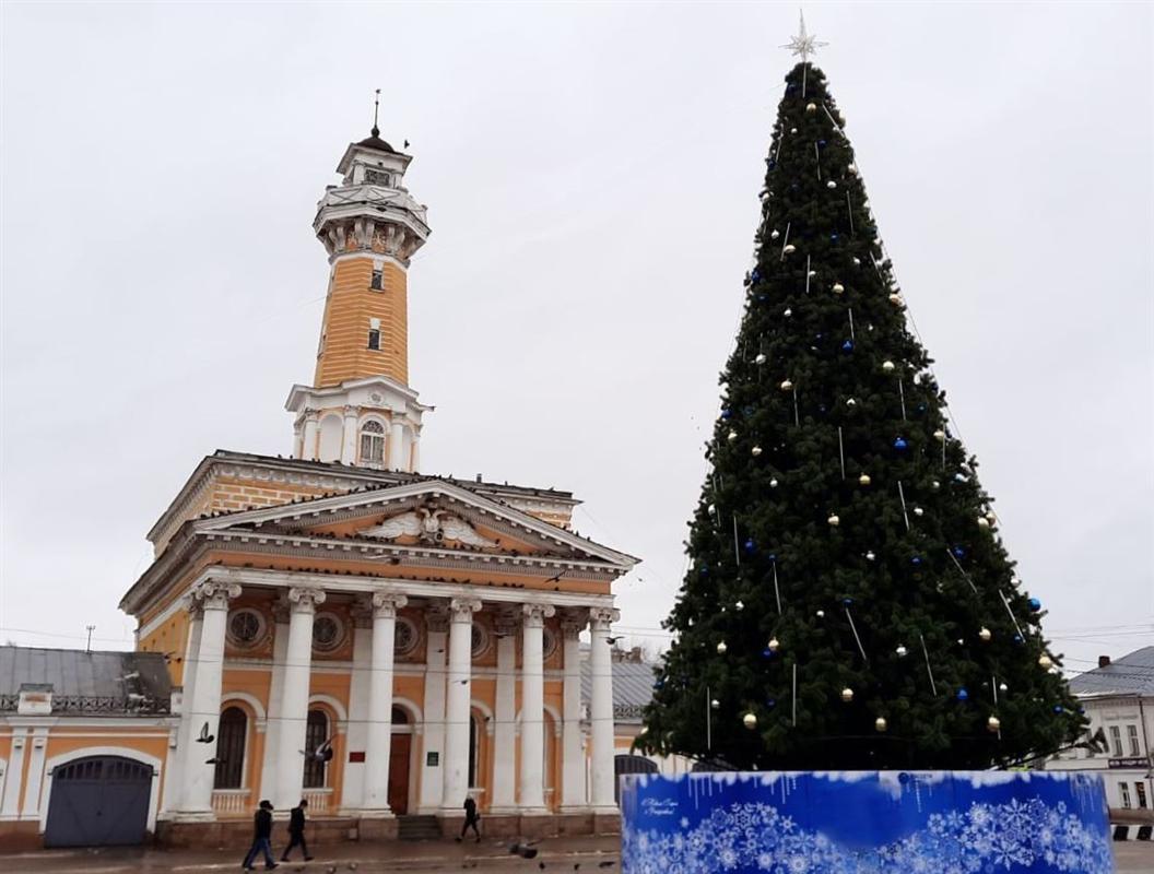 Сегодня главная новогодняя елка Костромы засияет огнями