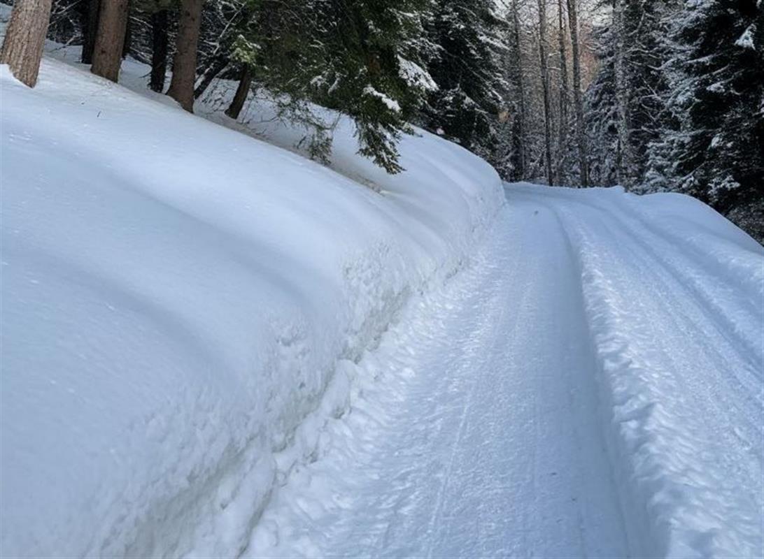 Для оперативной расчистки снега в Костроме организована «горячая линия»
