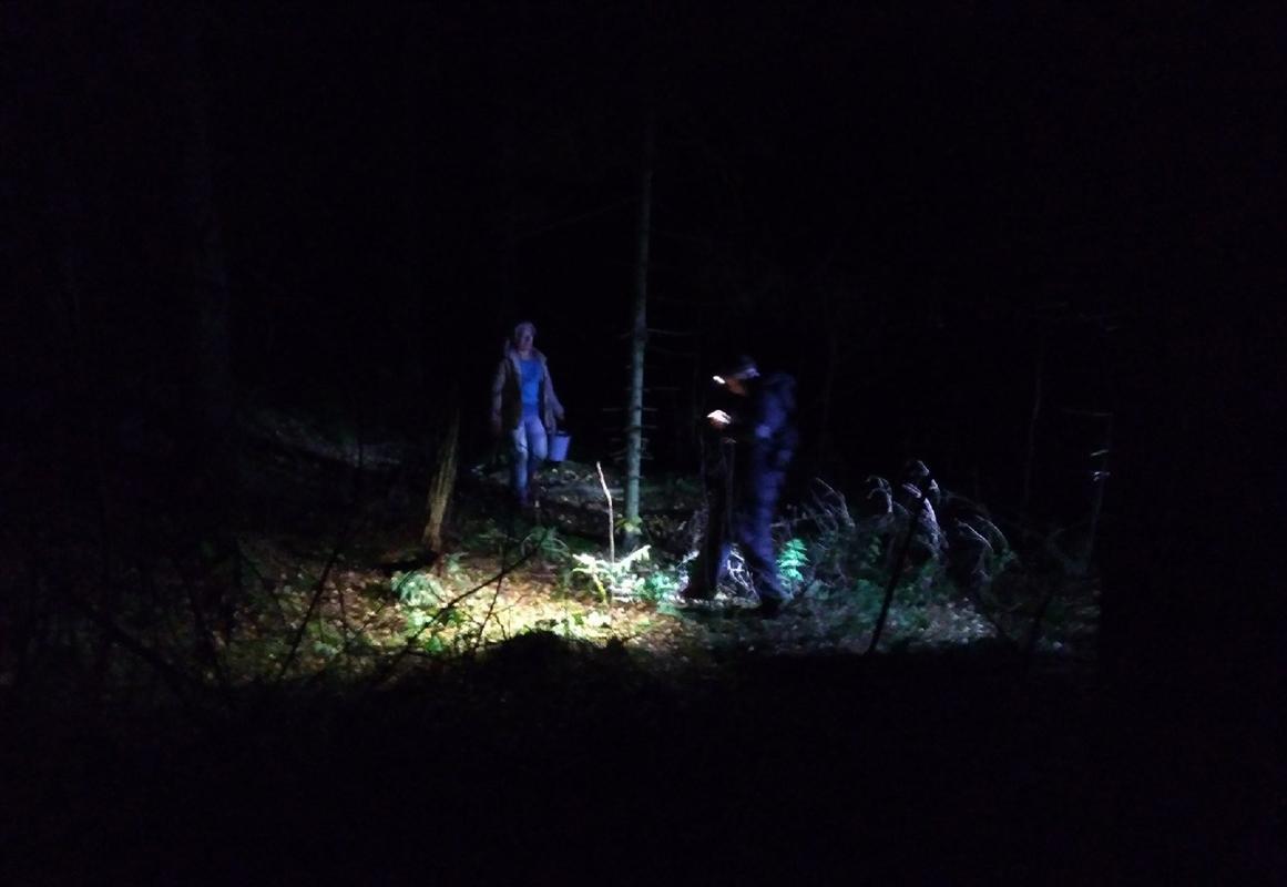 Спасатели и поисковики «Лиза Алерт» вывели из темного леса заблудившегося грибника