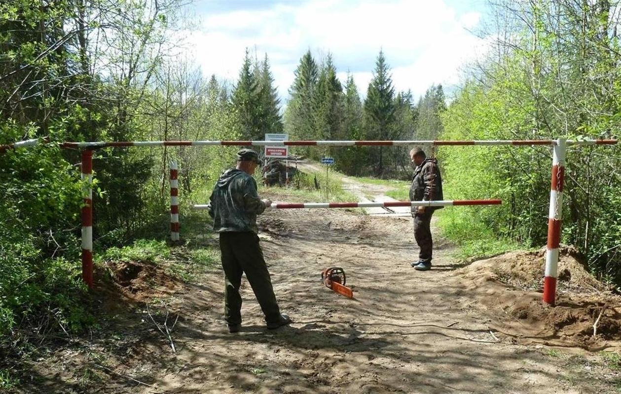 В Костромской области введен особый противопожарный режим