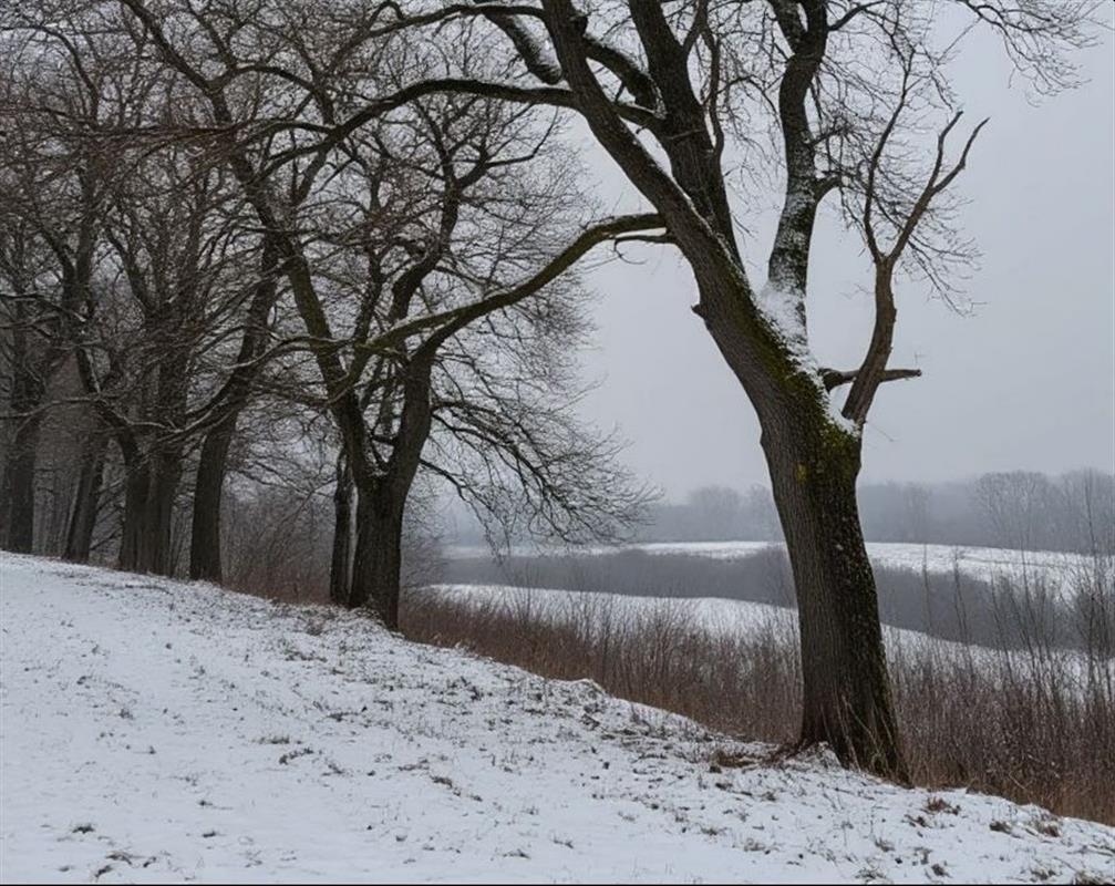 В Костроме и по области ожидается сильный ветер