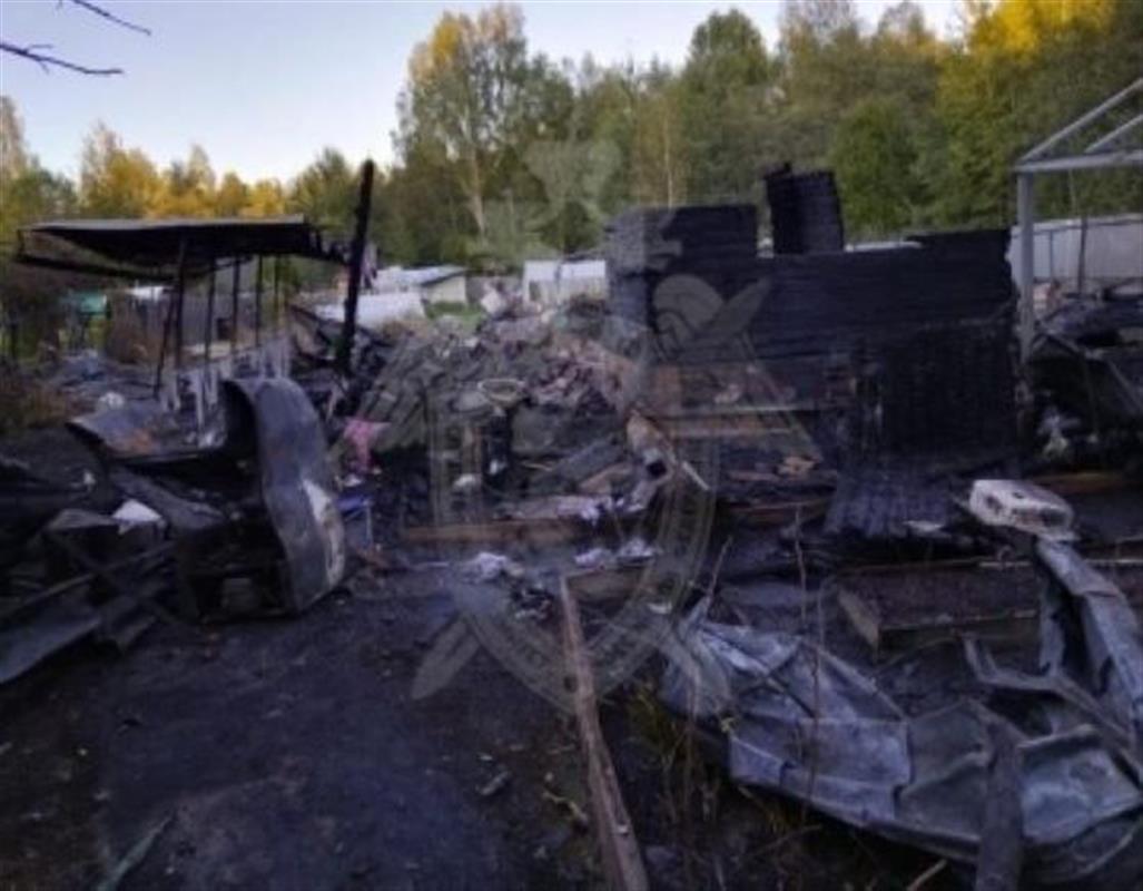 В Костромском районе при пожаре в частном доме погиб мужчина