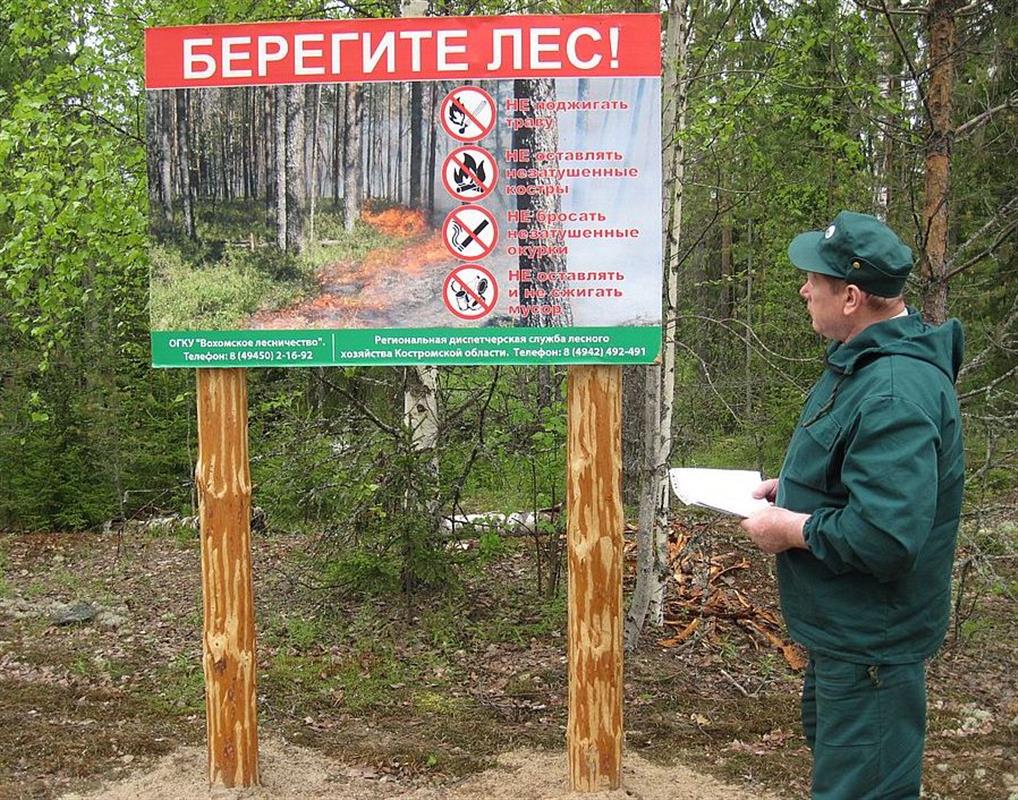 Из-за жары в Костромской области повышается риск возникновения пожаров