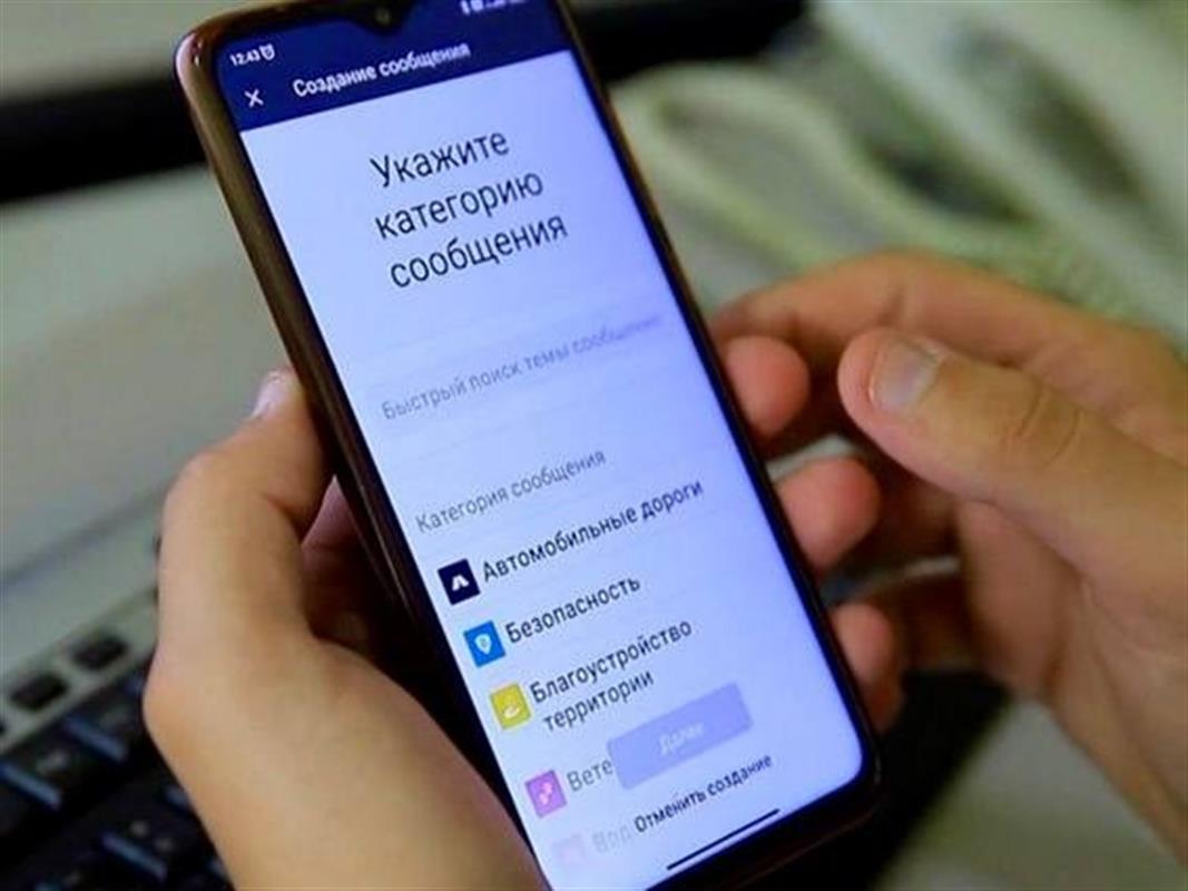 В Костроме «Народный инспектор» держит на контроле состояние контейнерных площадок

