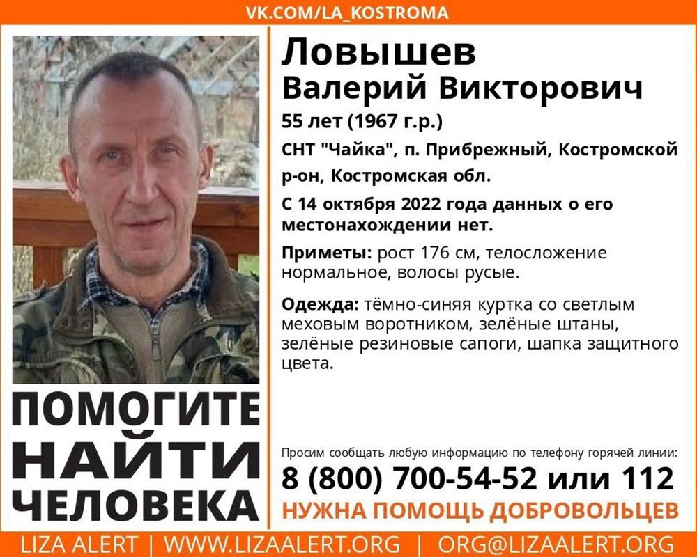 В Костромском районе продолжаются поиски пропавшего 55-летнего мужчины

