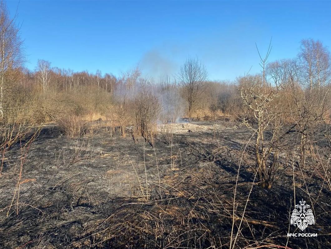 В Костроме устанавливают виновника пала травы 