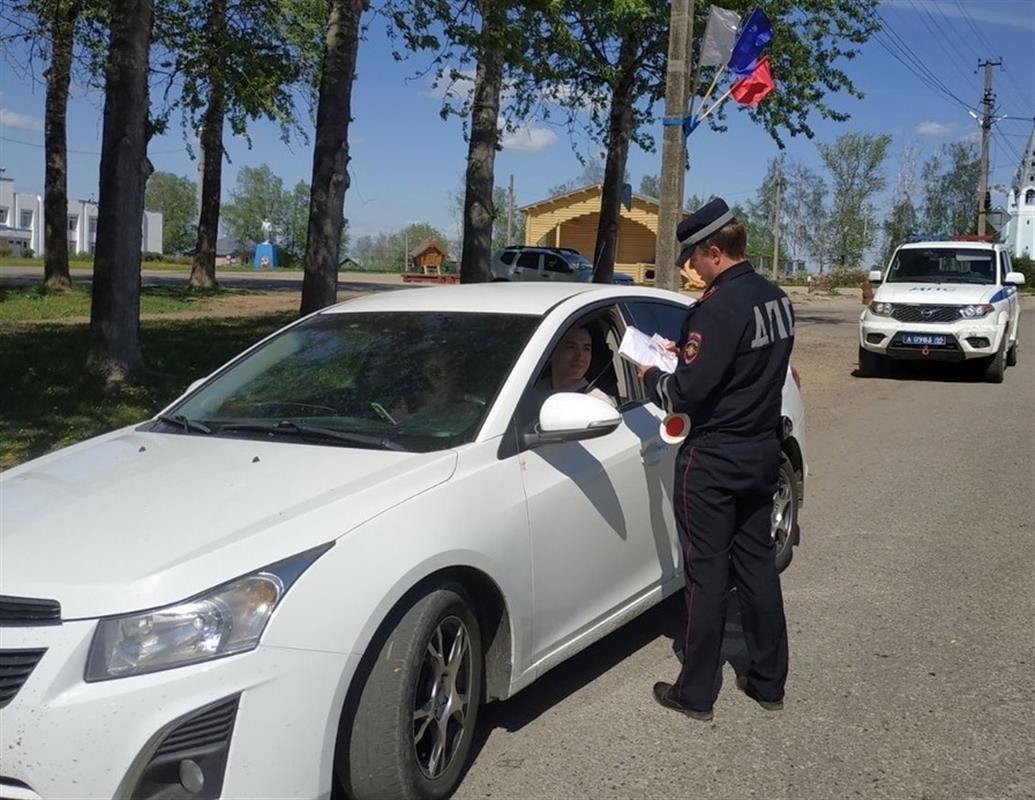 Автополицейские объявили «Неделю безопасности» на костромских дорогах 