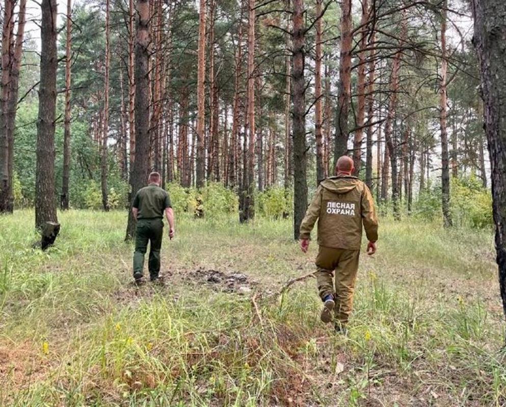 В Костромской области отменён особый противопожарный режим