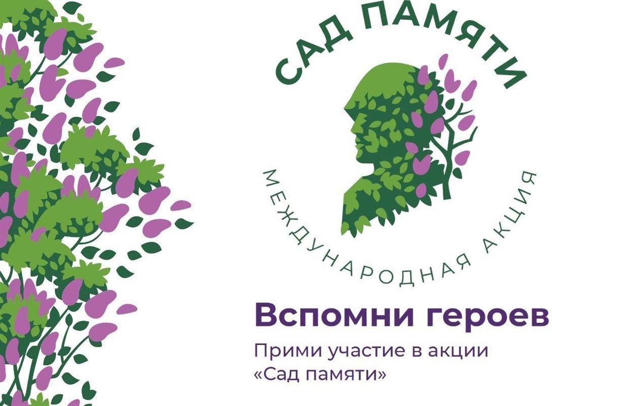 «Сад памяти»: в Костромской области высадили более 208 тысяч деревьев