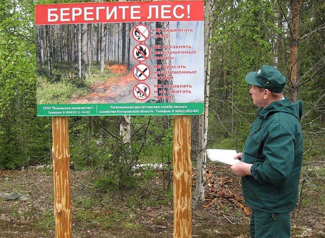 В Костромской области объявлен особый противопожарный режим