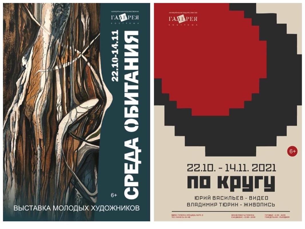 В художественной галерее Костромы открылись сразу две новые выставки