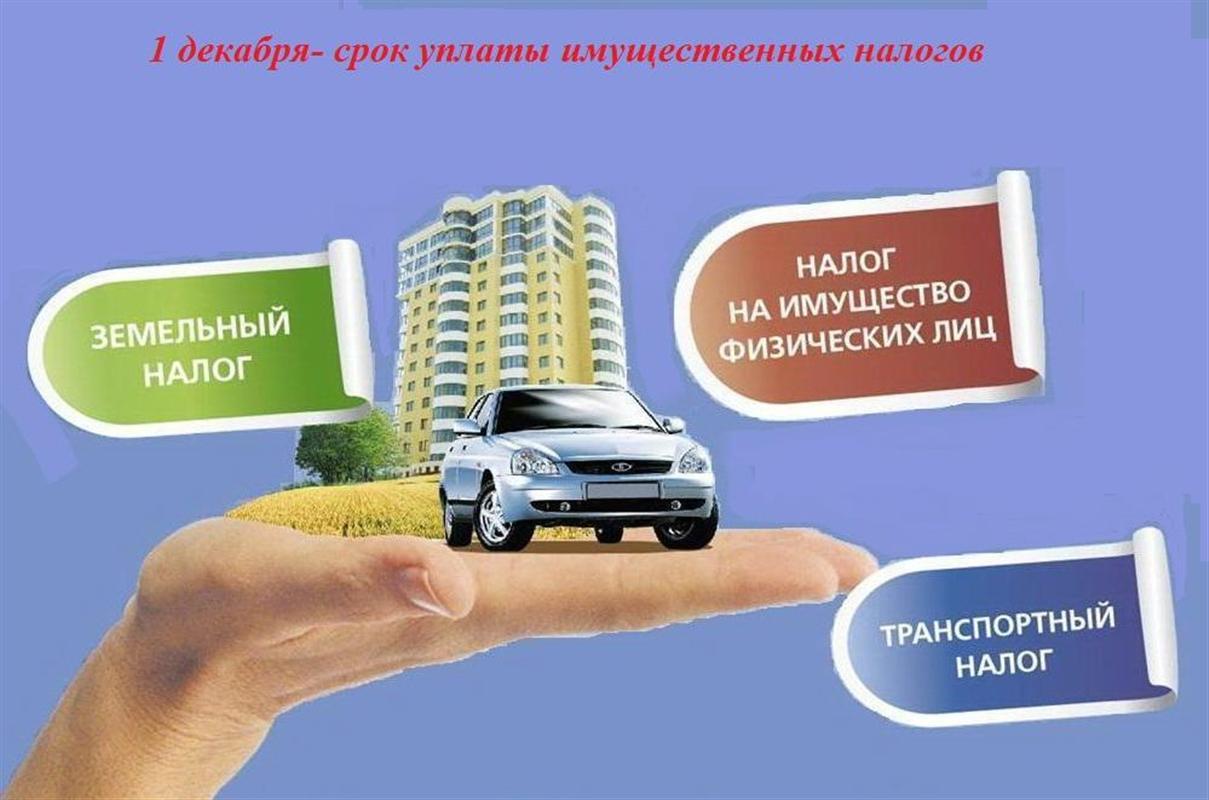 Ровно неделя осталась, чтобы заплатить налоги