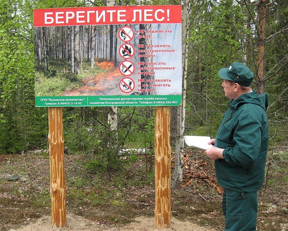 Из-за жаркой погоды в Костромской области продлили особый противопожарный режим