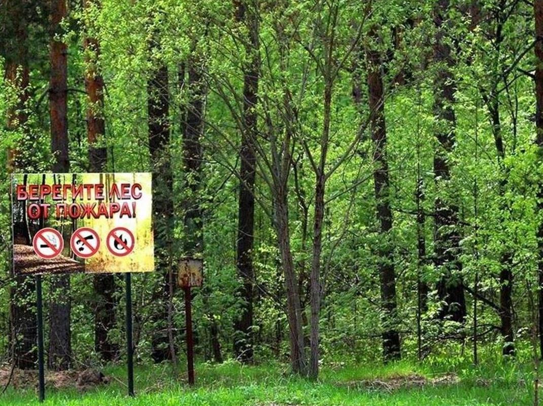 Костромичам напоминают об ответственности за нарушение правил пожарной безопасности

