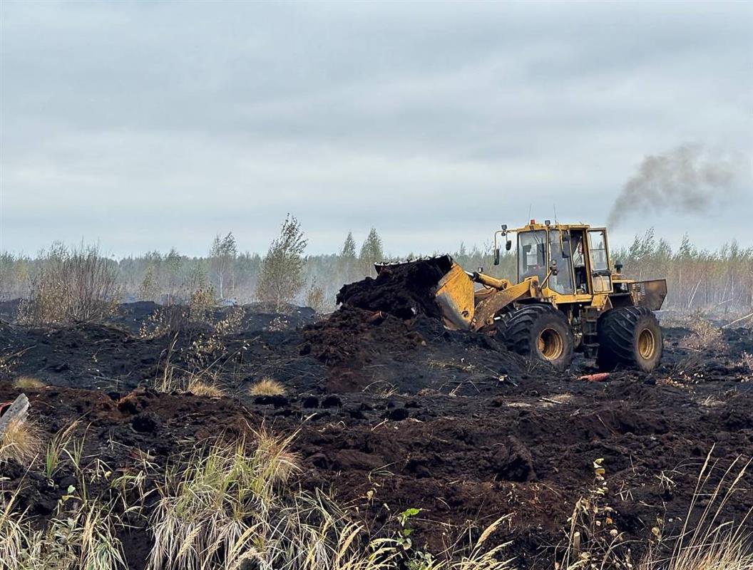 Природный пожар в Костромском районе полностью ликвидирован
