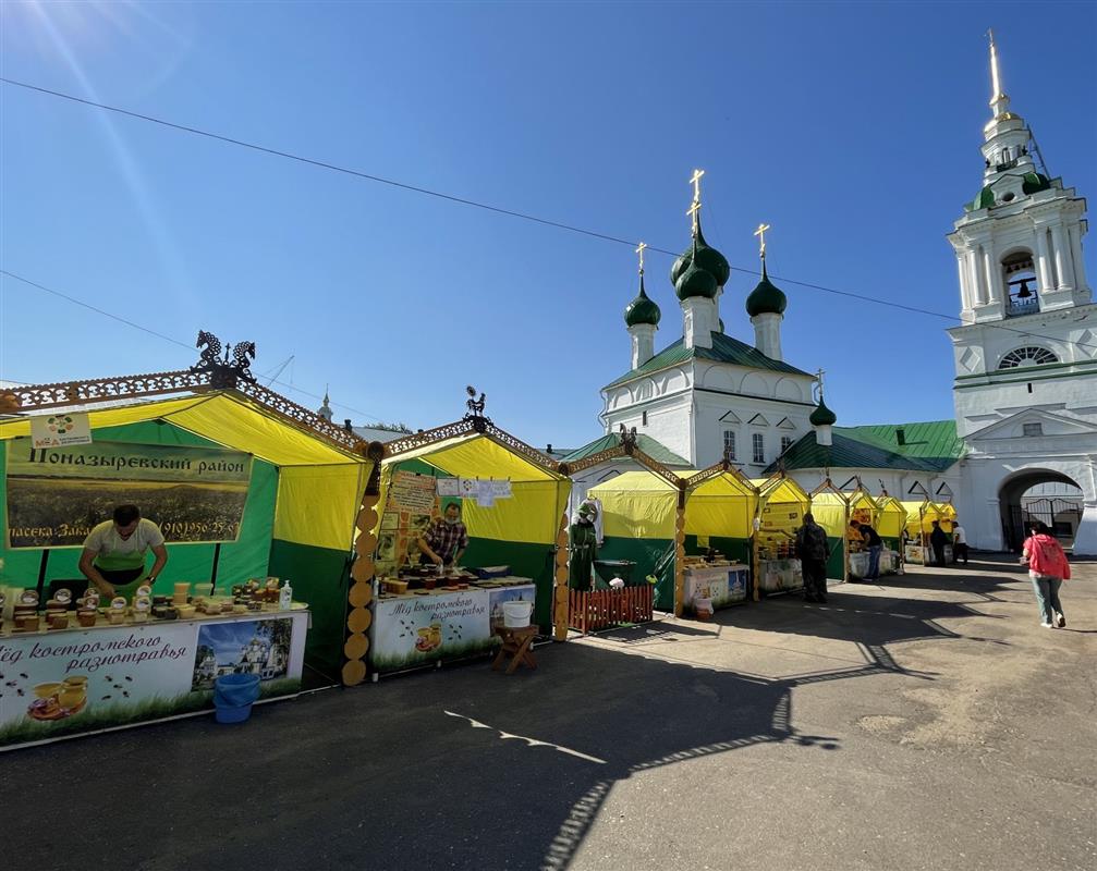 Стало известно, когда в Костроме откроется выставка-ярмарка «Медовый Спас»