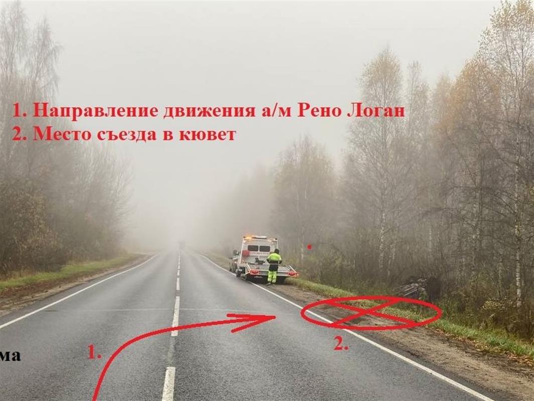 На костромской трассе водитель иномарки не справилась с управлением и попала в ДТП
