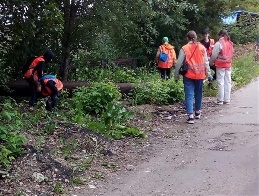 В Костроме началась первая смена экологических трудовых отрядов 