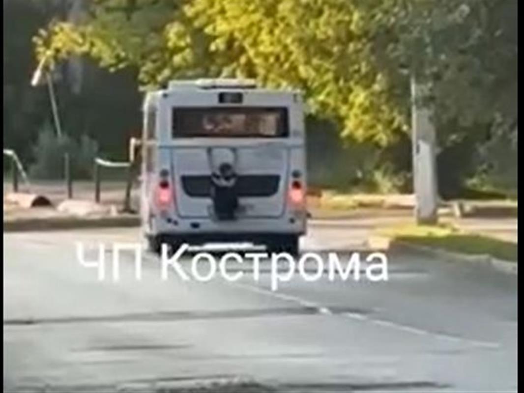 Полицейские поймали юных «зацеперов», катавшихся на автобусах в Костроме