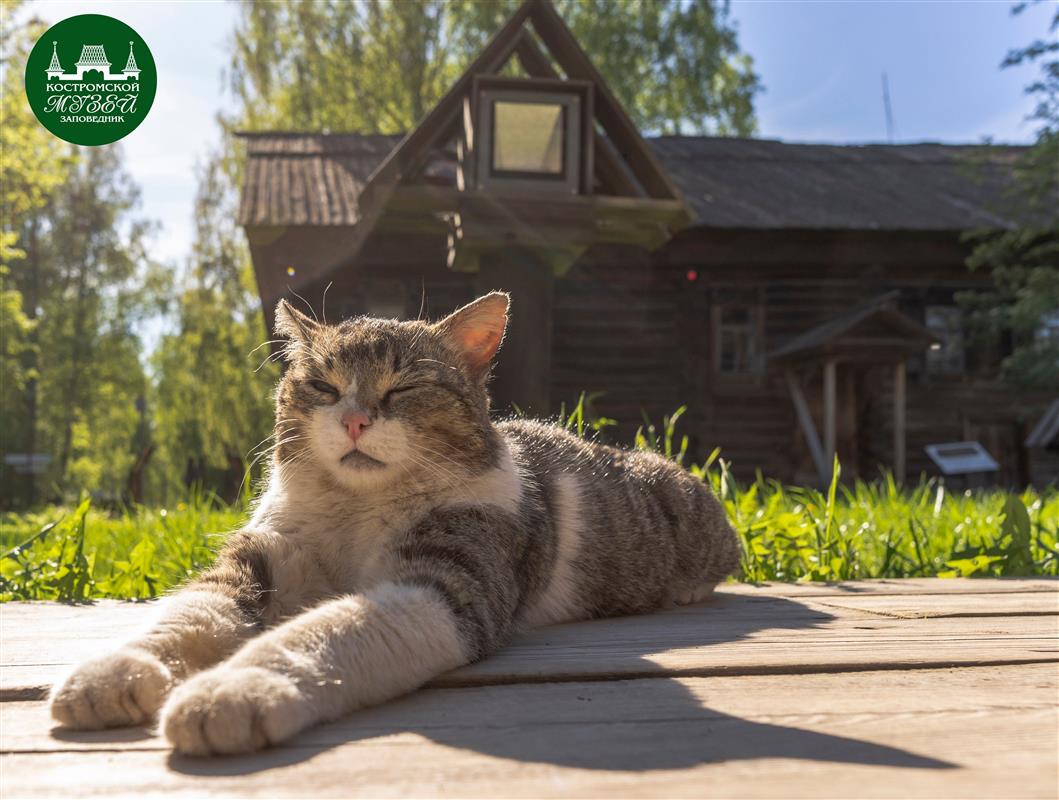 Костромской музей-заповедник приглашает на сборные экскурсии в майские праздники 