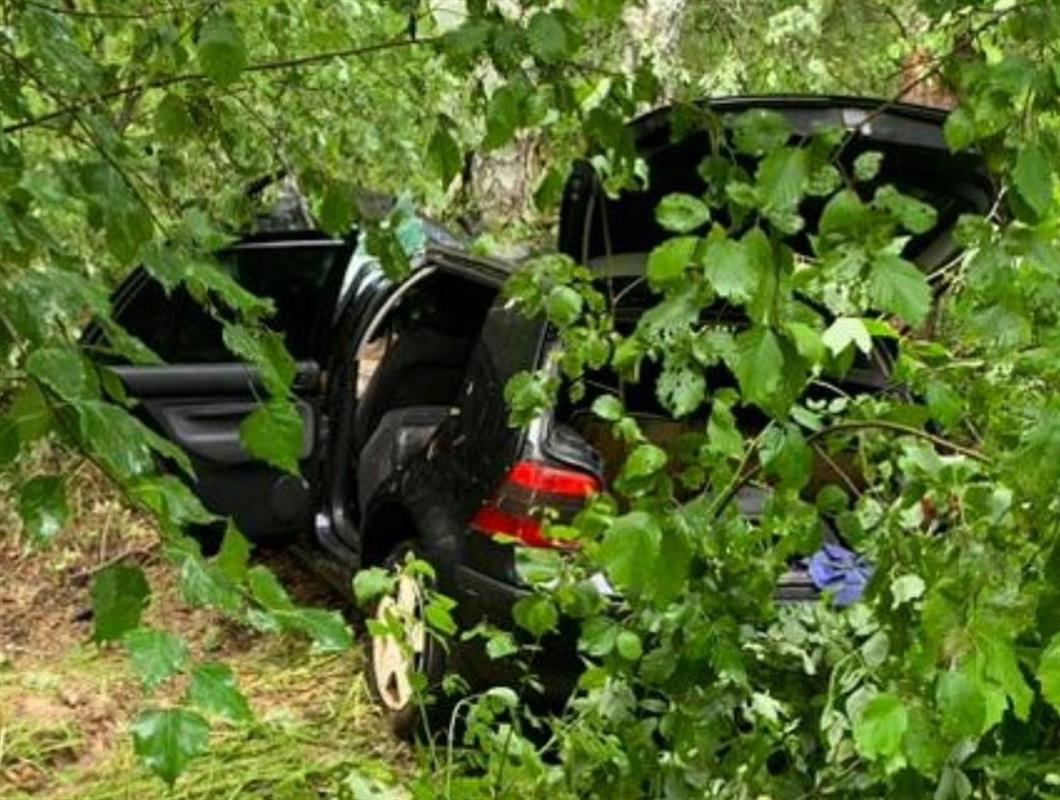 Водитель иномарки погиб на костромской трассе после столкновения с деревом
