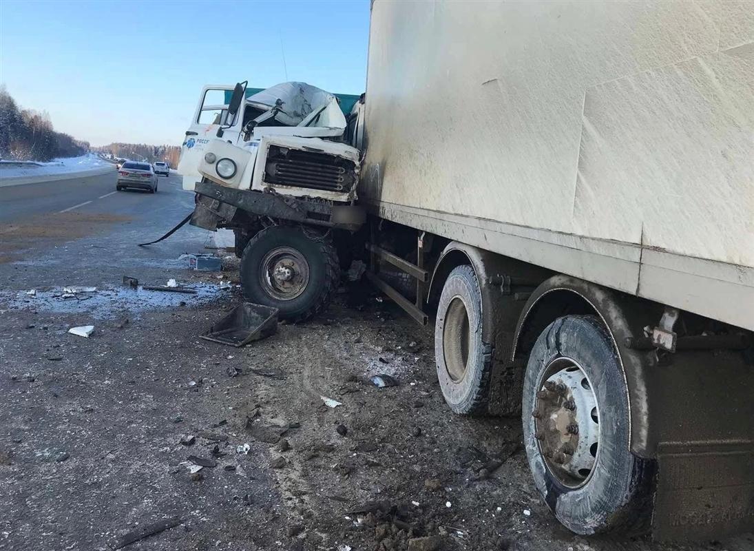 Под Костромой в ДТП с грузовым транспортом погиб человек