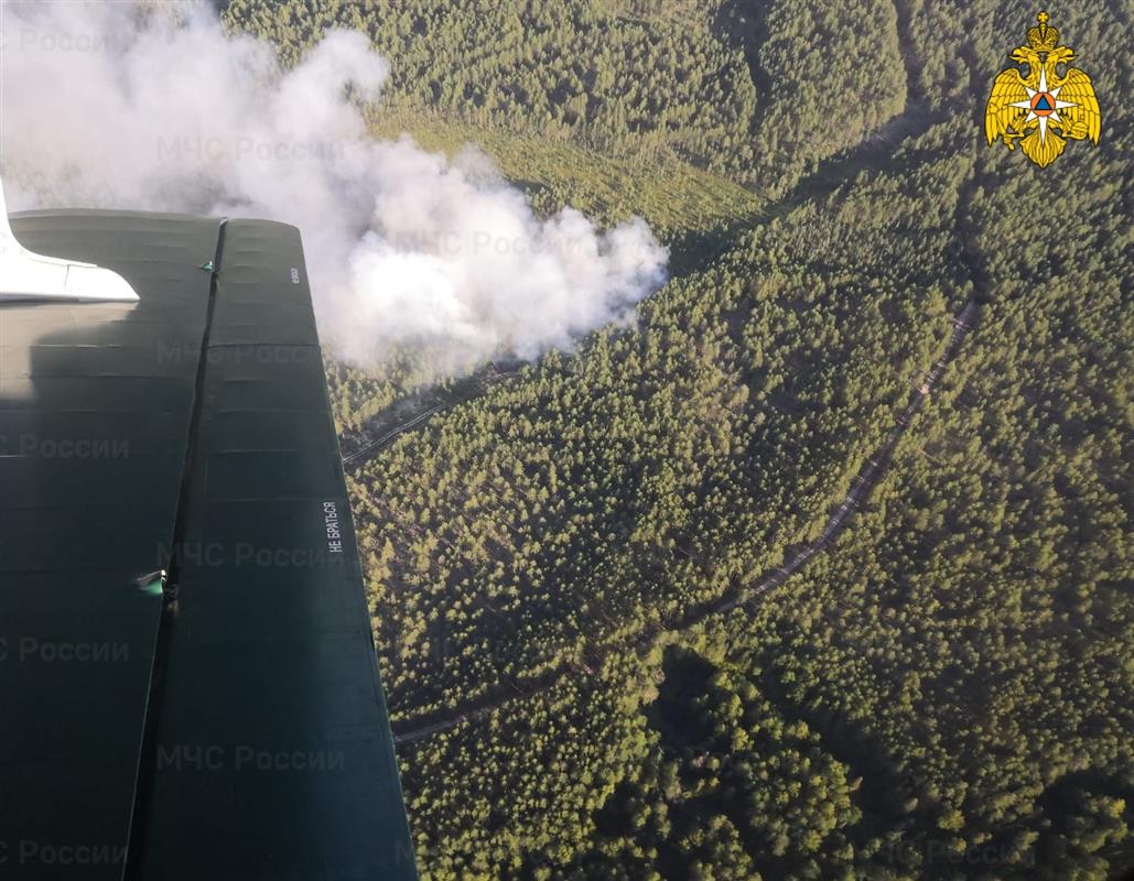 В Костромской области тушат лесной пожар