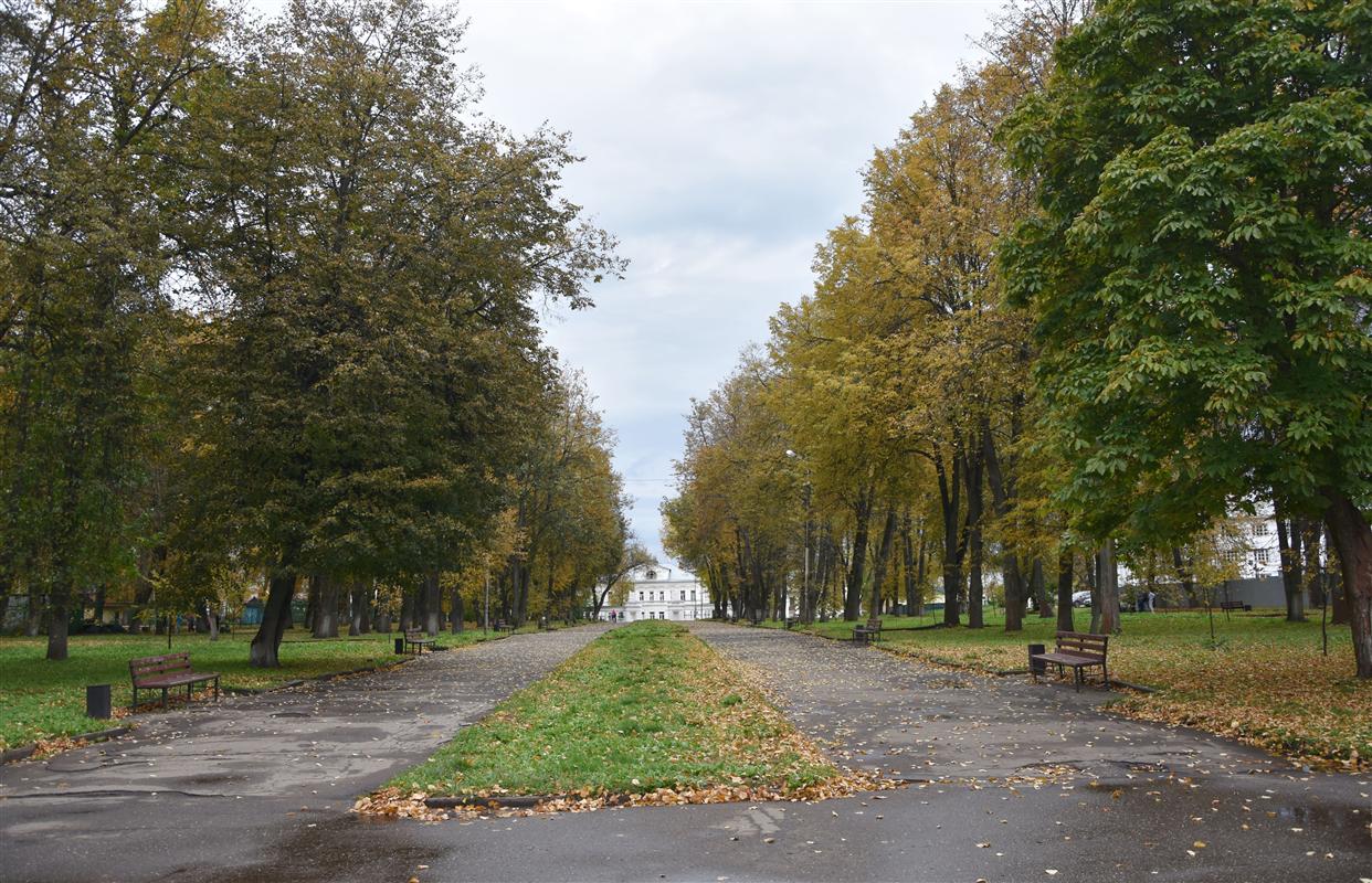 Итоги проектирования Центрального парка Костромы обсудят на этой неделе