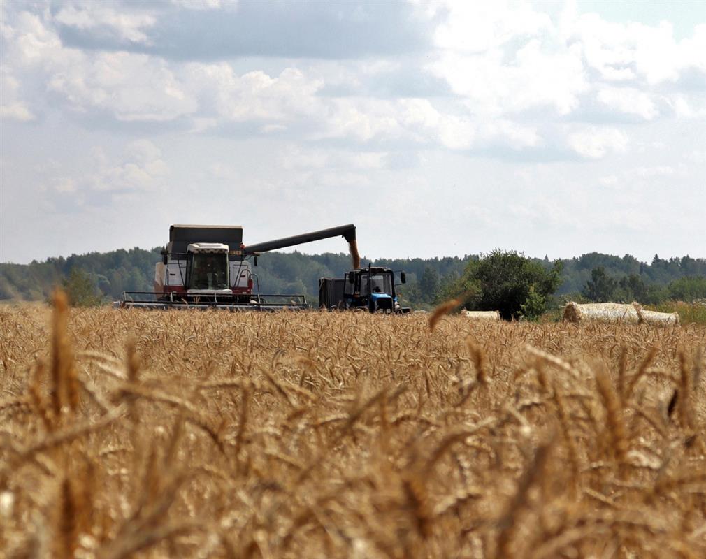 Костромские хозяйства завершают уборку зерновых 