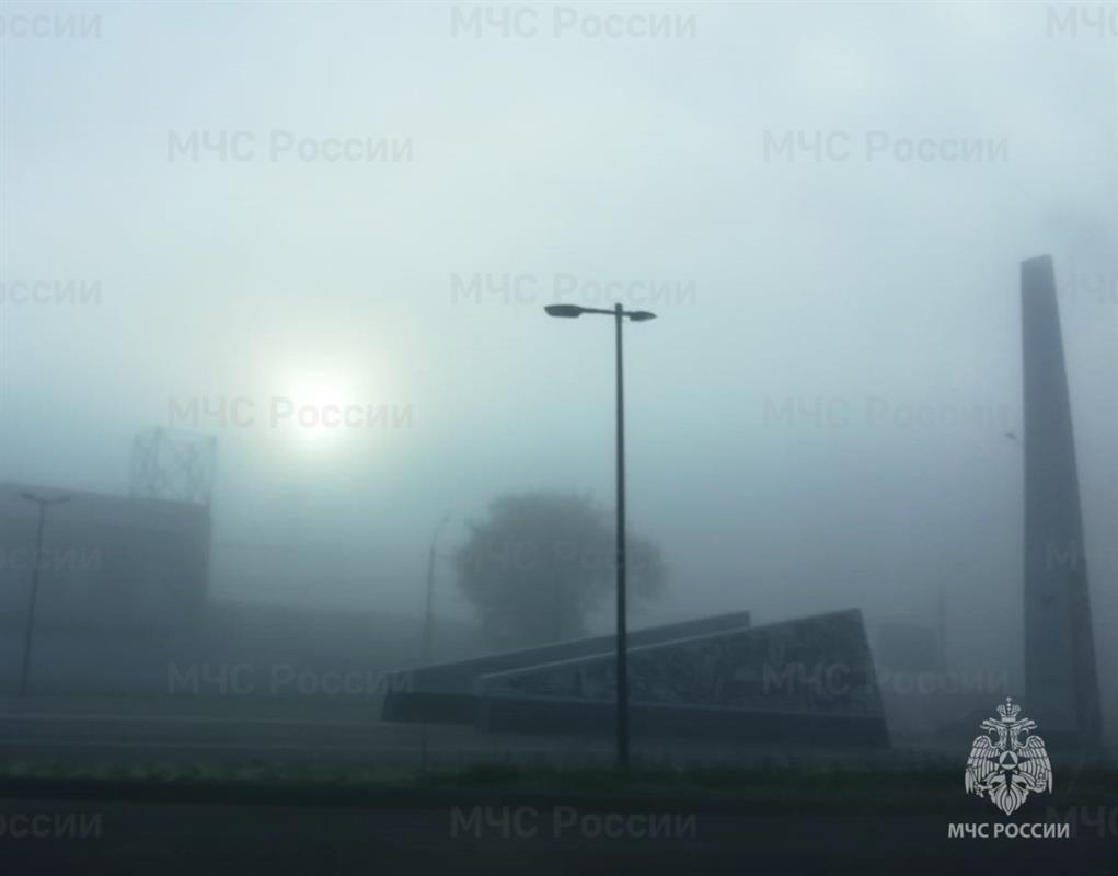 В туман костромичам рекомендуют отказаться от походов в лес и от рыбалки