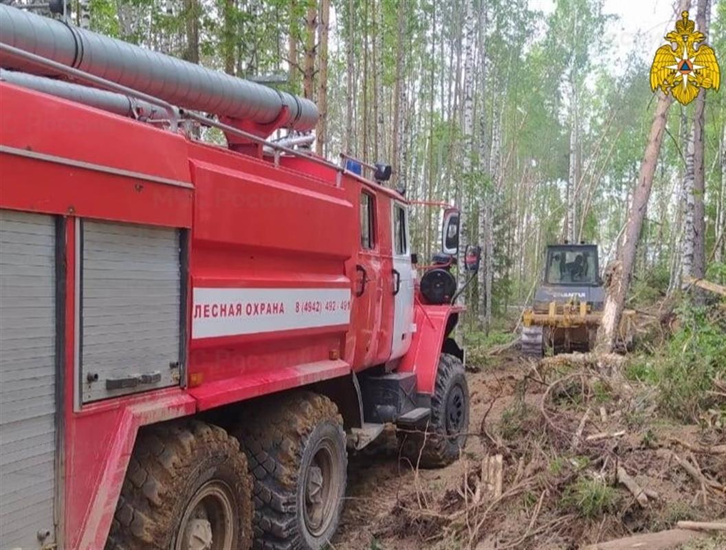 В Костромской области вторые сутки тушат лесной пожар