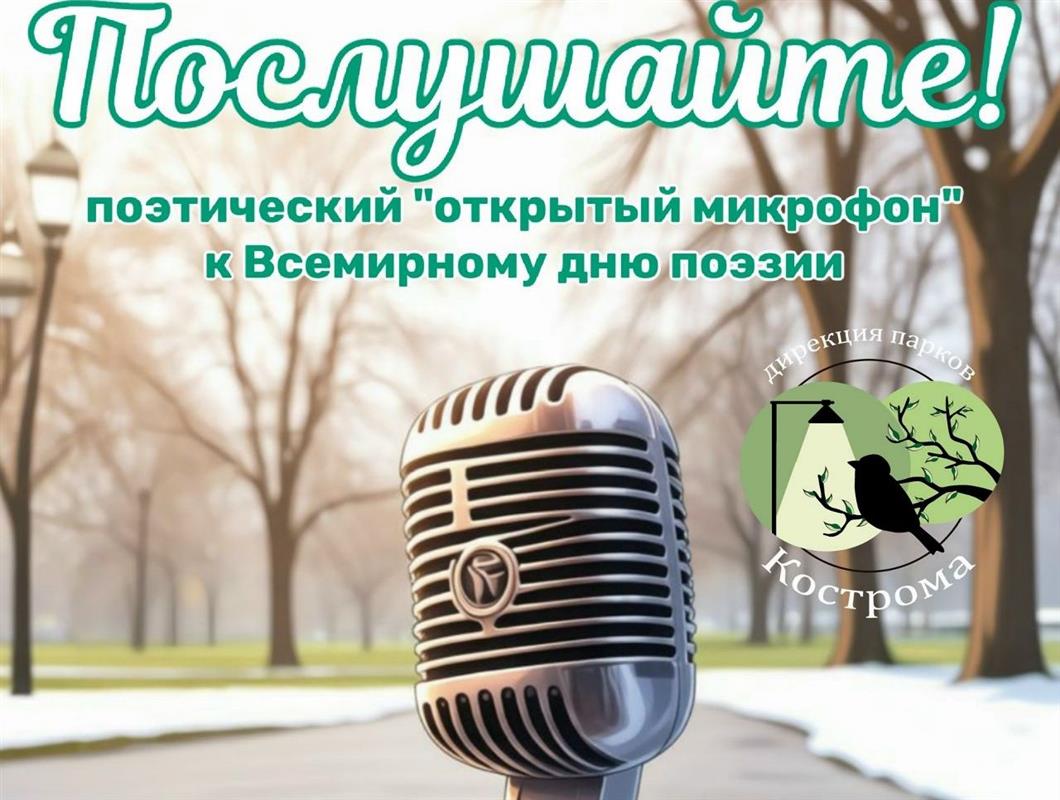 Спортивно, лирично: встречать весну костромичей приглашают в городские парки 
