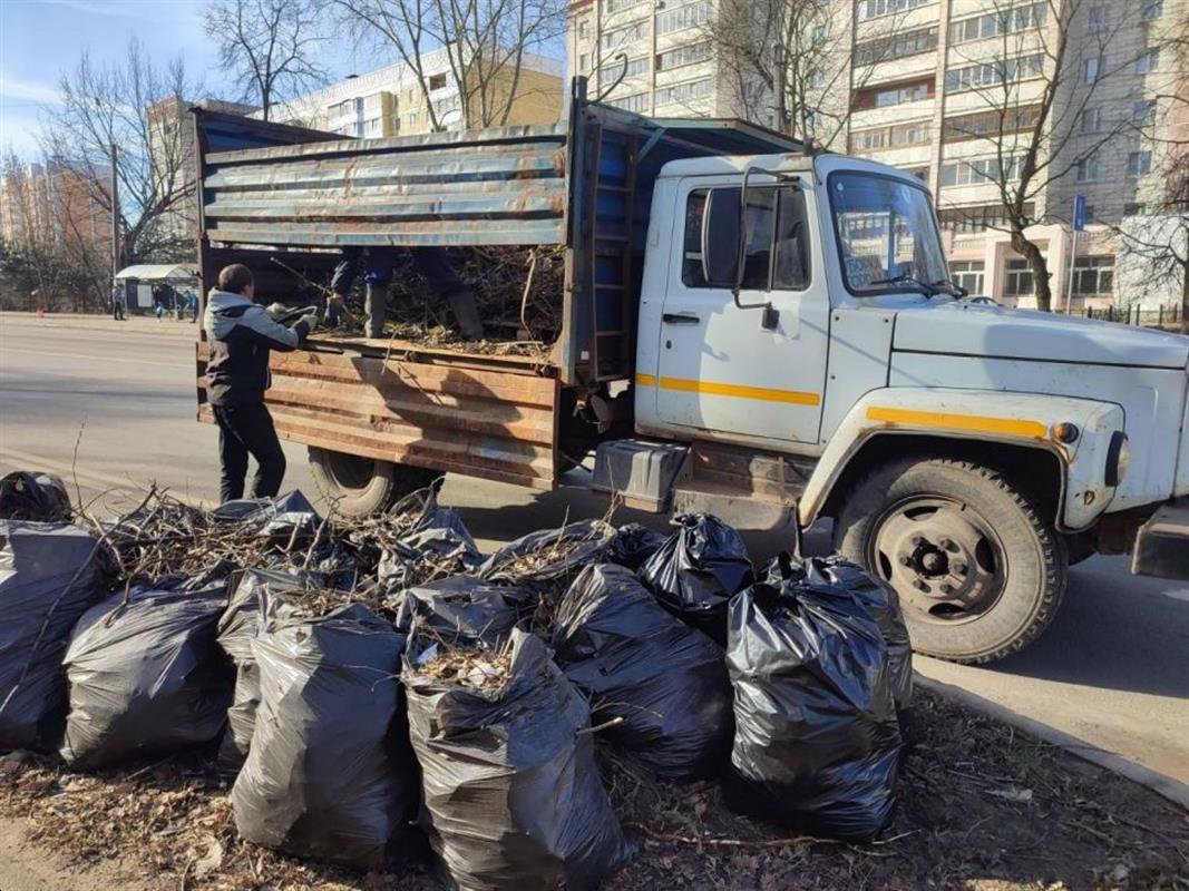 Для вывоза собранного на субботниках мусора в Костроме будет работать «горячая линия»