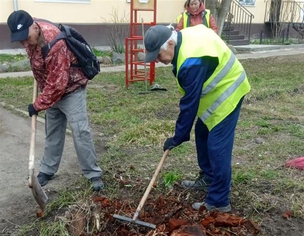 Костромичам рассказали, как заработать на любви к чистоте