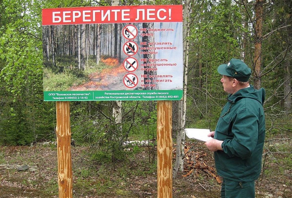 Предупредительные противопожарные мероприятия в лесах