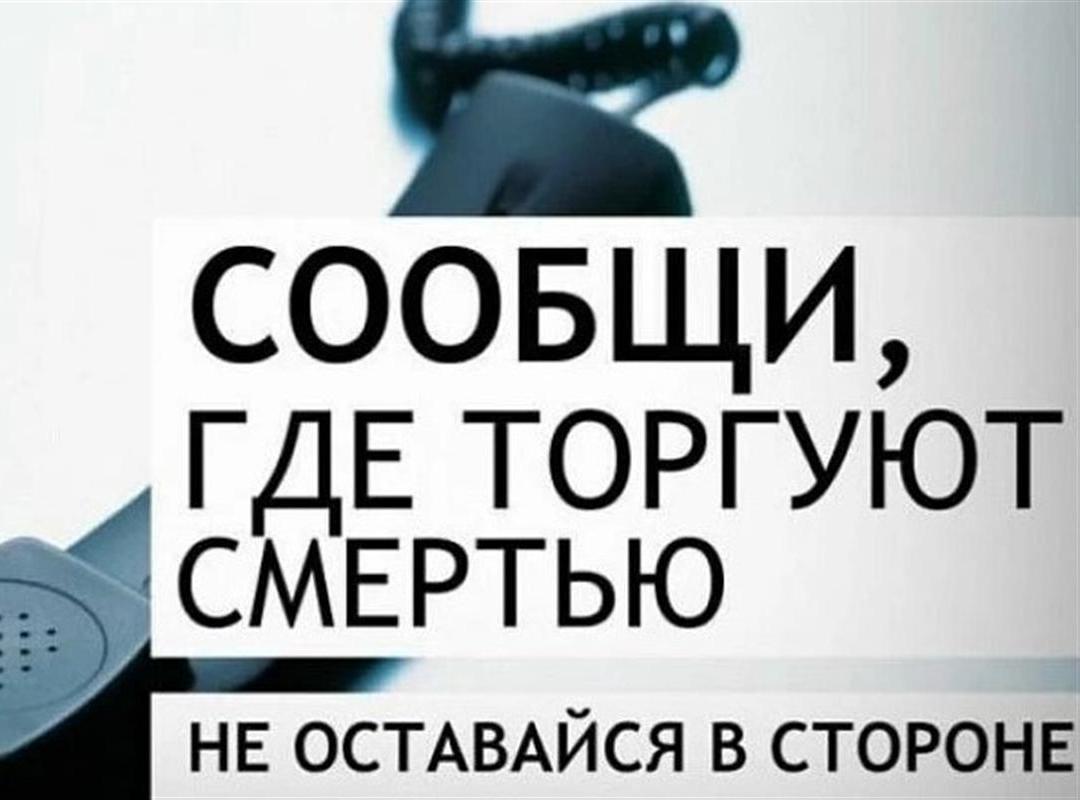 Костромичей призывают сообщать о фактах сбыта и употребления наркотиков

