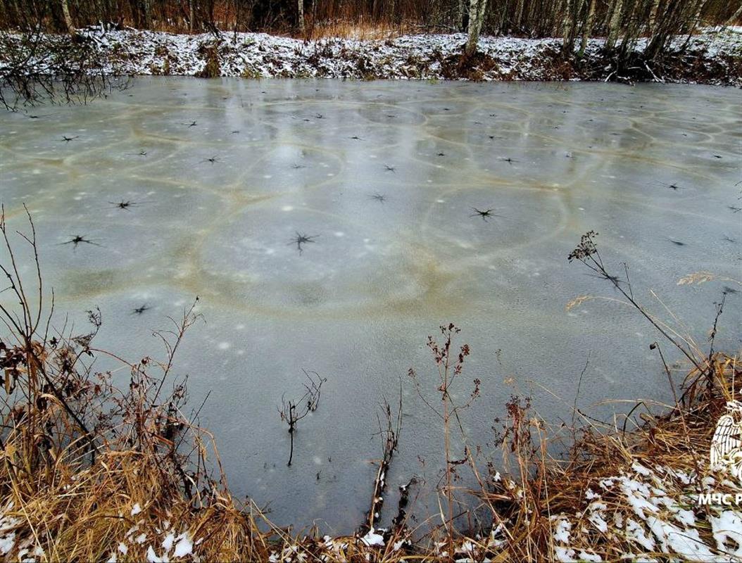 МЧС: выходить на лёд костромских водоёмов сейчас смертельно опасно