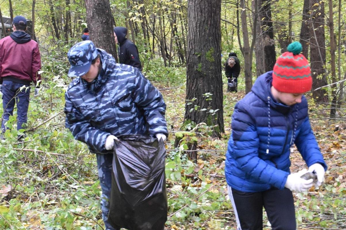 В Костромской области добровольцы приводят в порядок леса